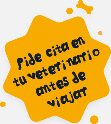 Pide cita